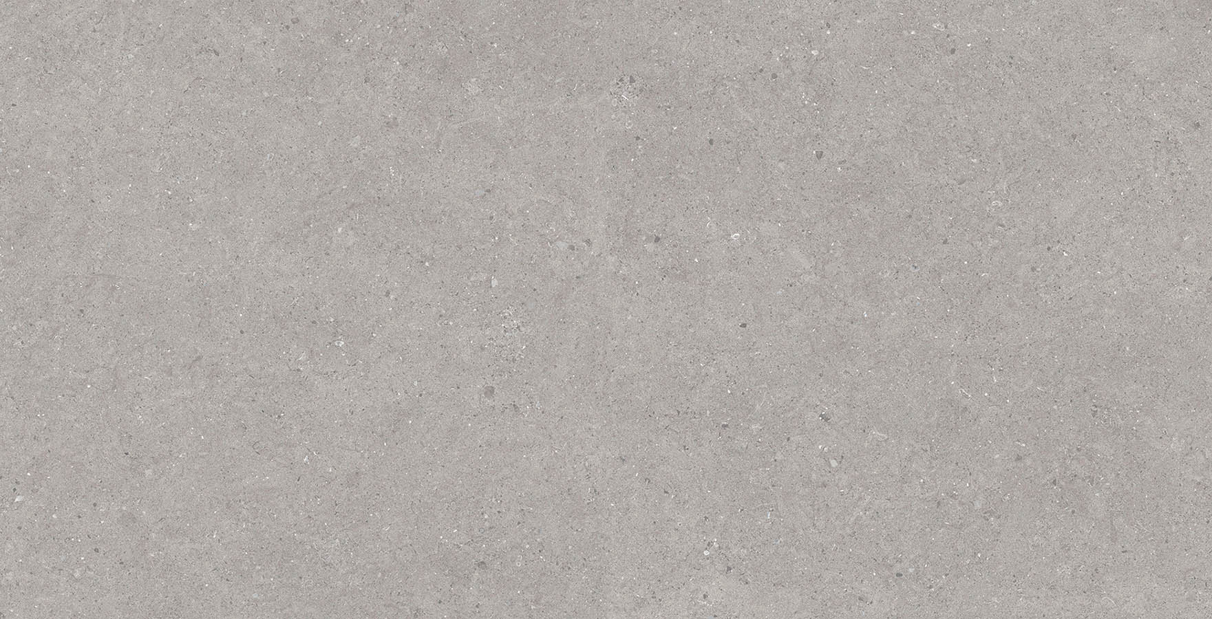 Bstone Grey-60X120-Face2