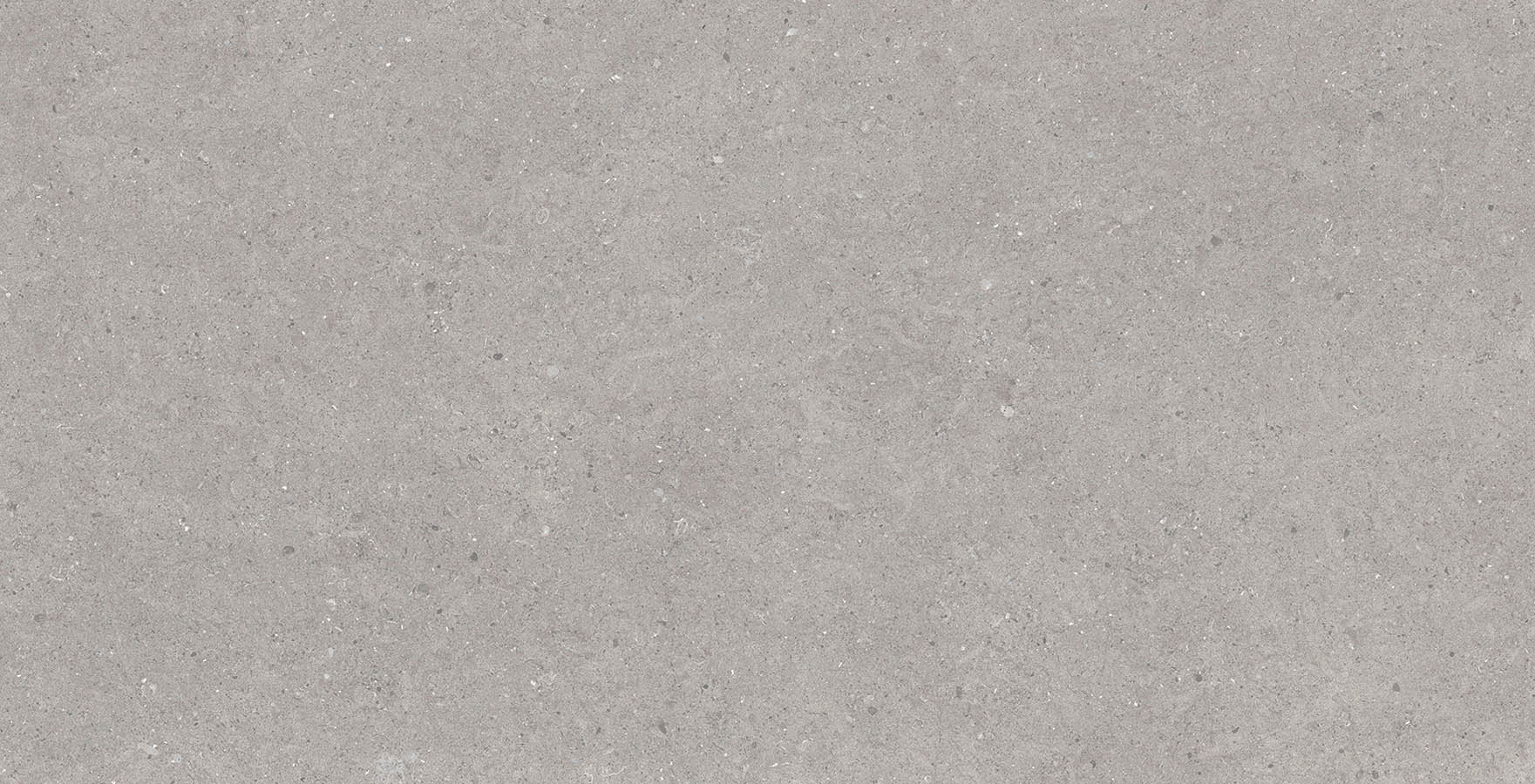 Bstone Grey-60X120-Face3