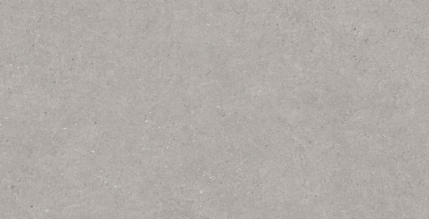 Bstone Grey-60X120-Face4