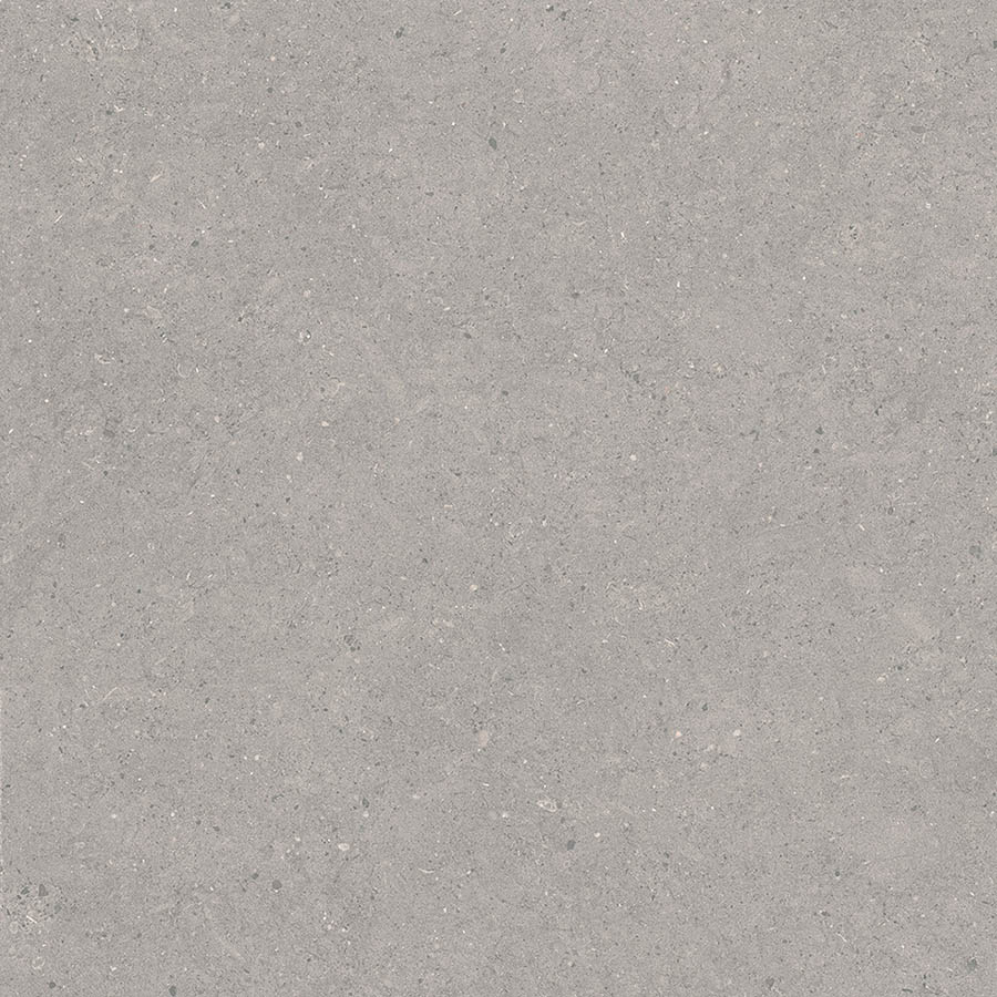 Bstone Grey-60X60-Face2
