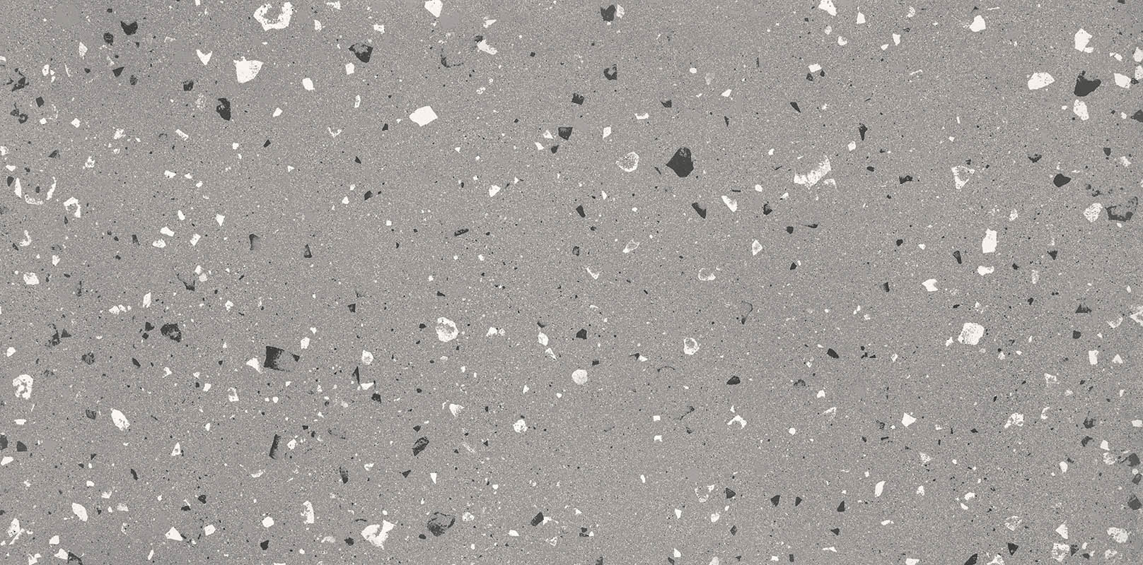 FOSSIL TERRAZZO 2