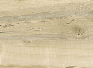 MAPLE BEIGE - Image 3