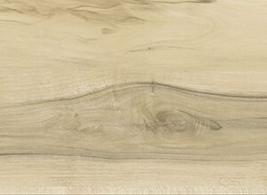 MAPLE BEIGE - Image 2