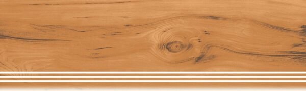 508-STEP - Image 2