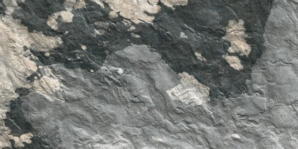 JERSEY-06 - Image 4