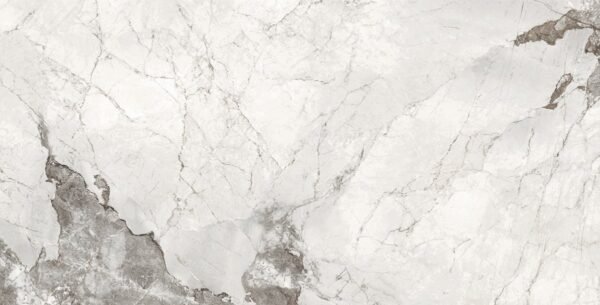 LANCELOT BIANCO - Image 5