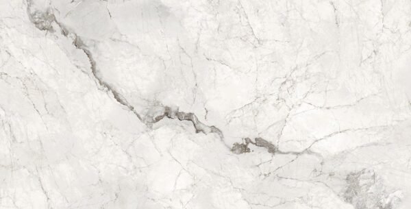 LANCELOT BIANCO - Image 3