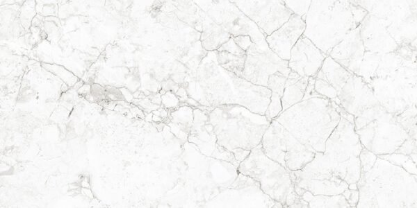 LINEA GREY - Image 4