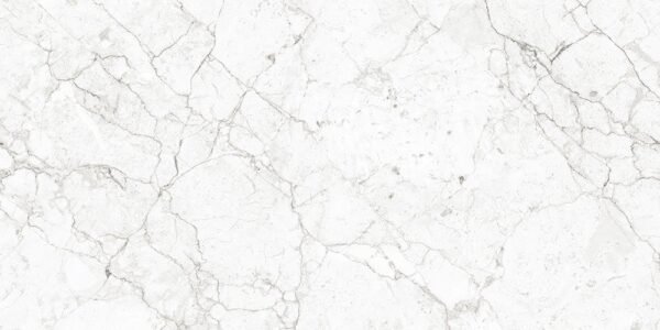 LINEA GREY - Image 2